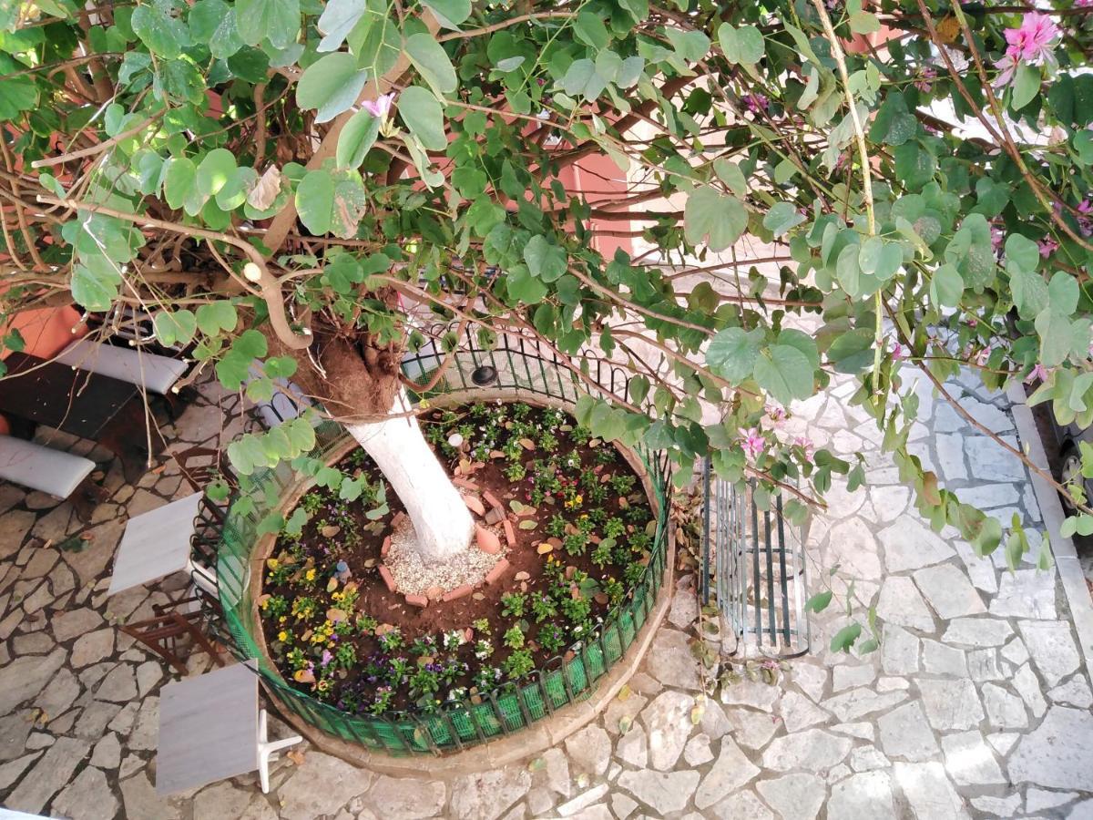 Lilliput Studio Corfu Old Town Eksteriør billede